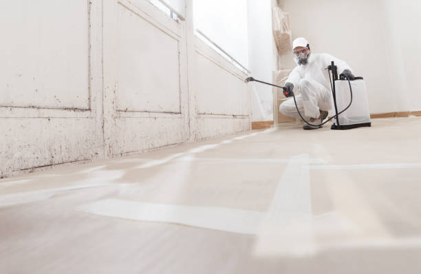 24/7 Emergency Commercial Mold Remediation experts in Milliken, CO