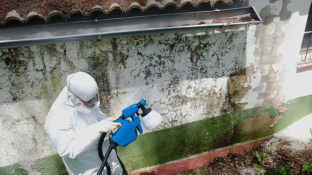 Top rated local Commercial Mold Remediation specialists in Milliken, CO
